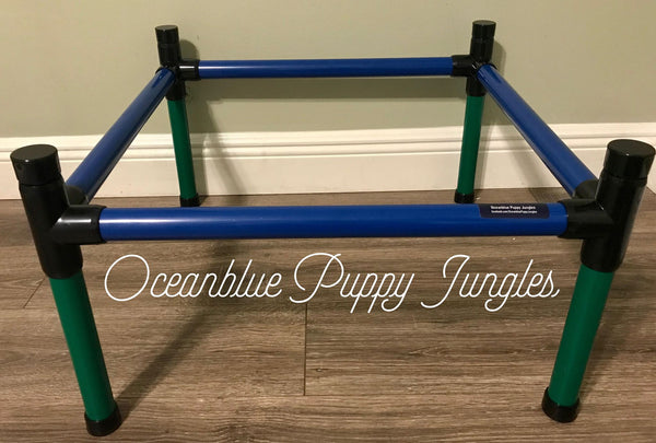 square dog agility ladder purple & green