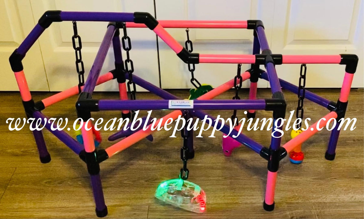 Puppy Jungle Gym Large Oceanblue Puppy Jungles