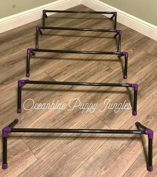 standard dog cavaletti black & purple