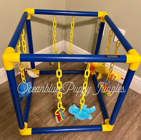 build your own medium puppy jungle blue and yellow